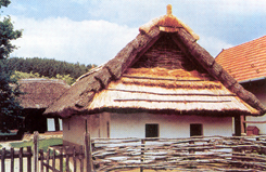 ppt12