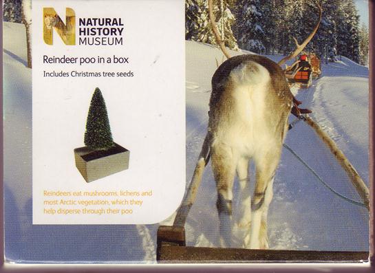 Description: reindeer poo