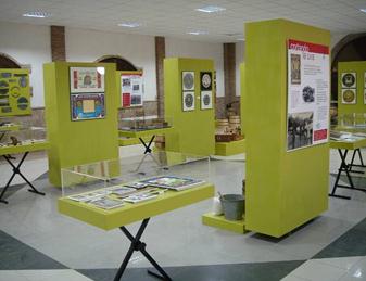Description: museo uva 8