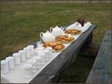 image105.jpg