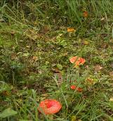 image120.jpg