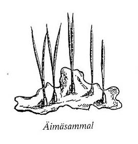 image184.jpg